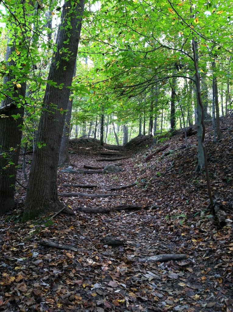 Gambar dari Matildaville. virginia hiking greatfalls hike trail