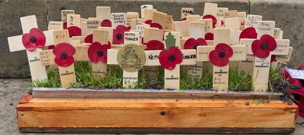 תמונה של War Memorial. memorial war sony poppy alpha warmemorial newbury poppys a580 sonyalphaa580