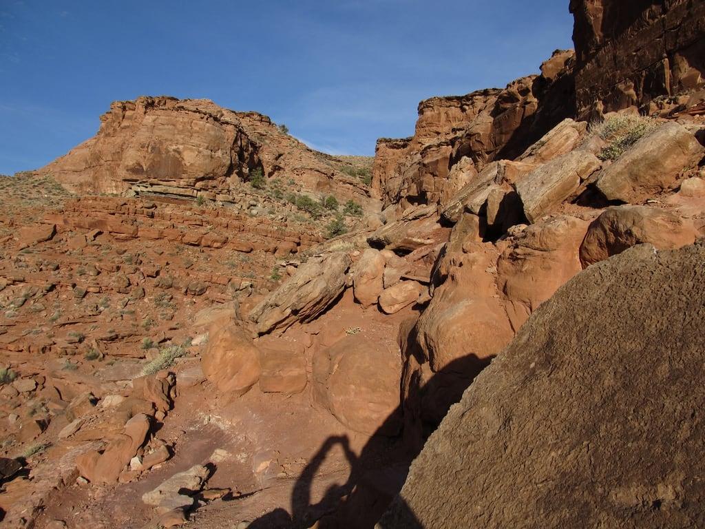 Dinosaur Tracks and Petroglyphs की छवि. utah grand moab