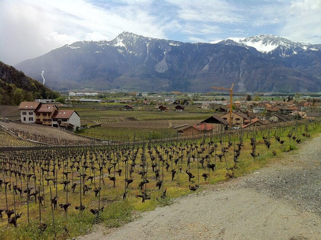 Afbeelding van Château d'Aigle. alps industry tourism switzerland 365 geography agriculture