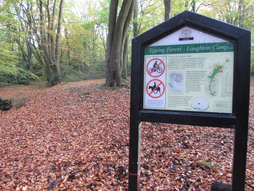 Attēls no Loughton Camp. leaves eppingforest woods ironage loughtoncamp