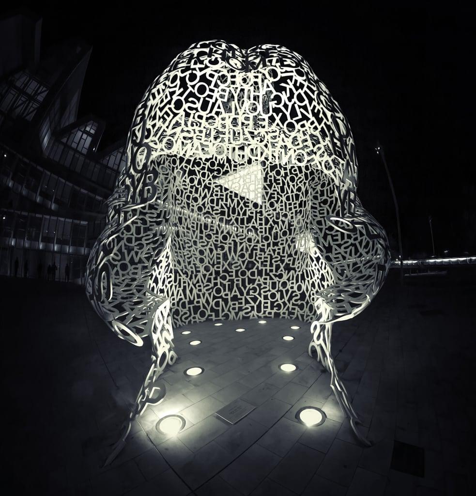 Image of Alma del Ebro. sculpture españa monochrome night monocromo noche expo zaragoza escultura aragon es saragossa jaumeplensa palaciodecongresos almadelebro
