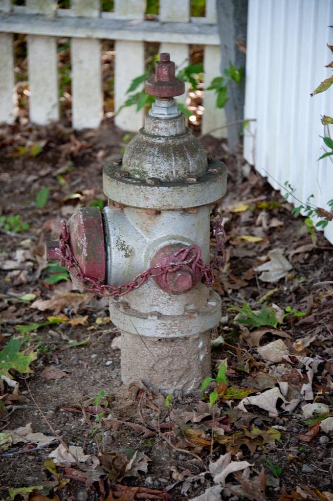 Image of Whitney Homestead. firehydrant 2011 whitneyhomestead