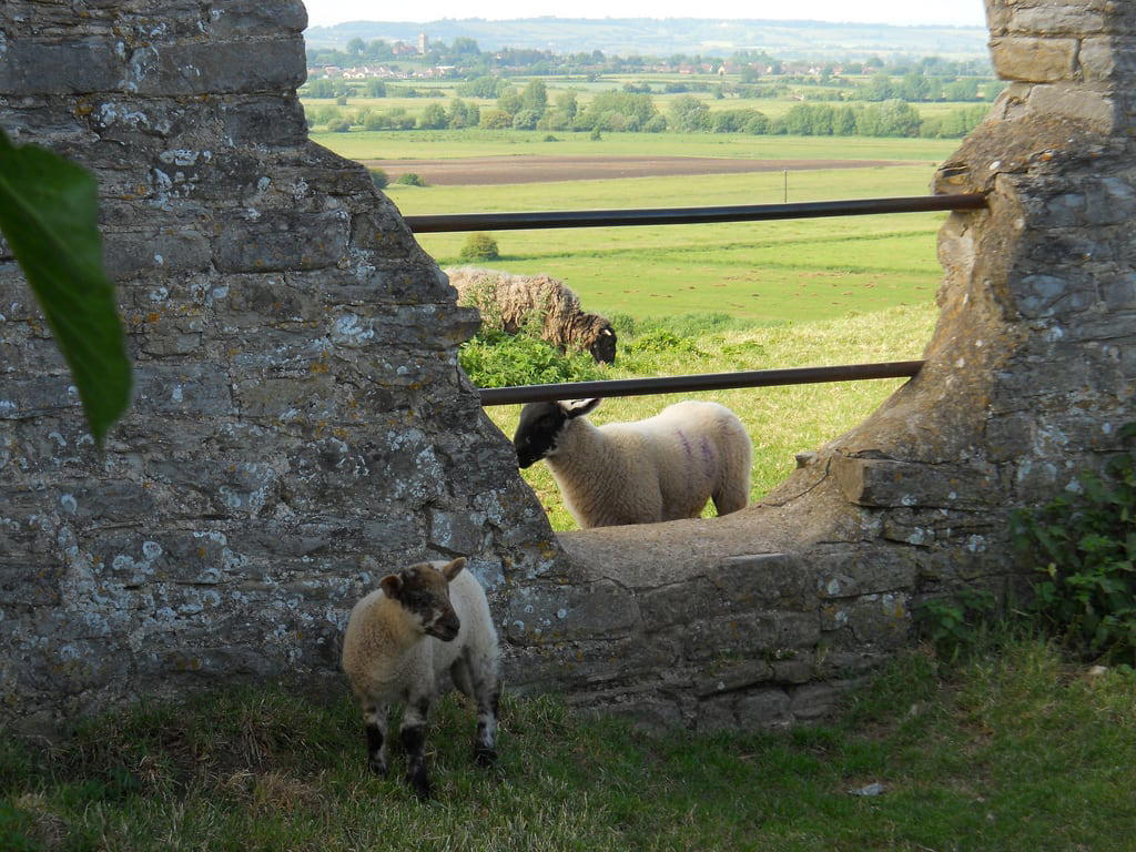 ภาพของ Burrow Mump. church burrowmump