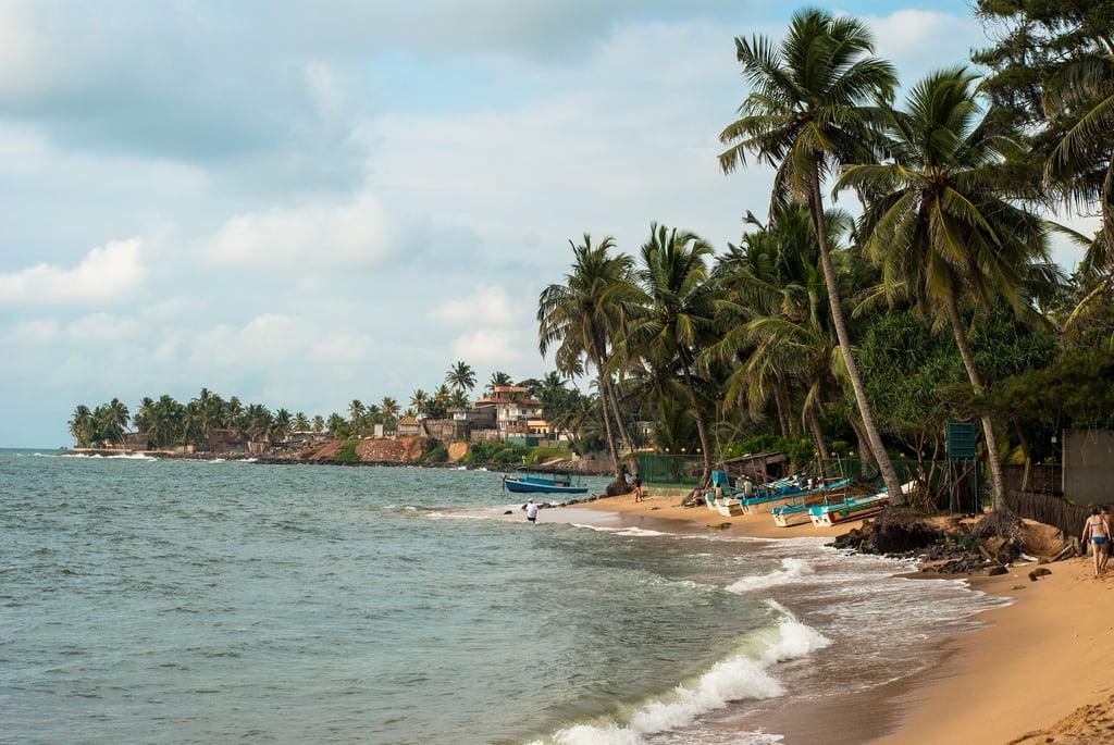 Шри ланка температура моря. Алутгама Шри-Ланка. Пляж Косгода Шри Ланка. Пляж Алутгама Шри Ланка. Бентота море или океан.