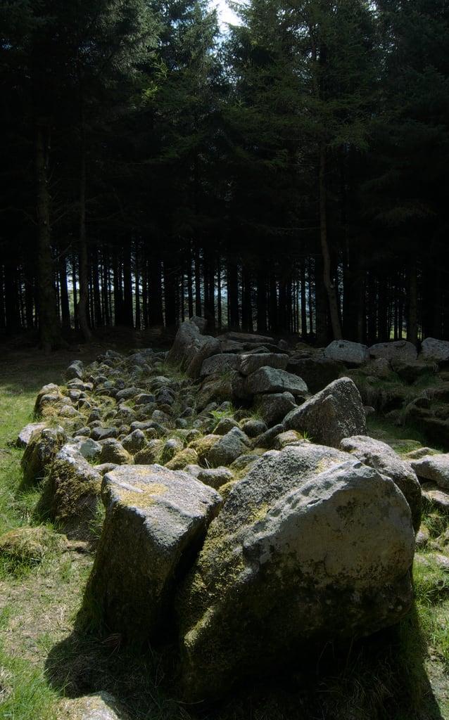 Obraz Ballyedmonduff Wedge Tomb. ireland dublin forest pentax wideangle burial prehistoric bronzeage megalith prehistory uwa k30 pentaxk30 samsung1224f4ed 1224f4ed