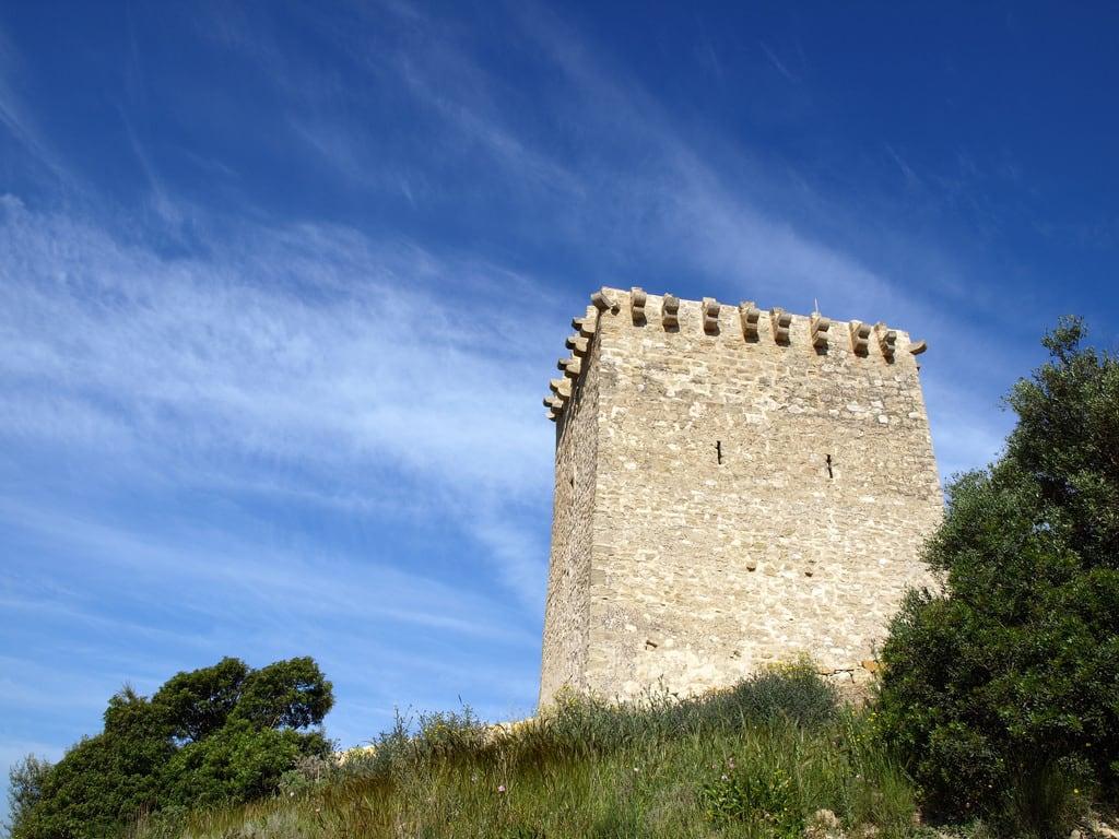 Torre de Campredó görüntü. ebro baixebre campredó