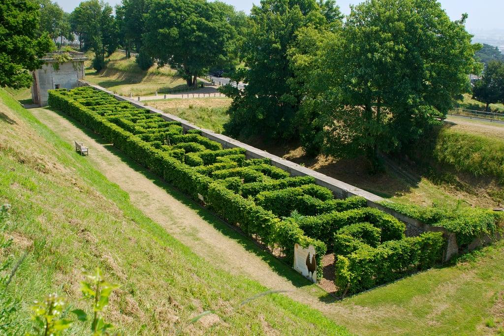 Fort de Sainte-Adresse - Jardins Suspendus の画像. fort parc lehavre labyrinthe labyrinthevégétal lesjardinssuspendus fortdesainteadresse ancienfort
