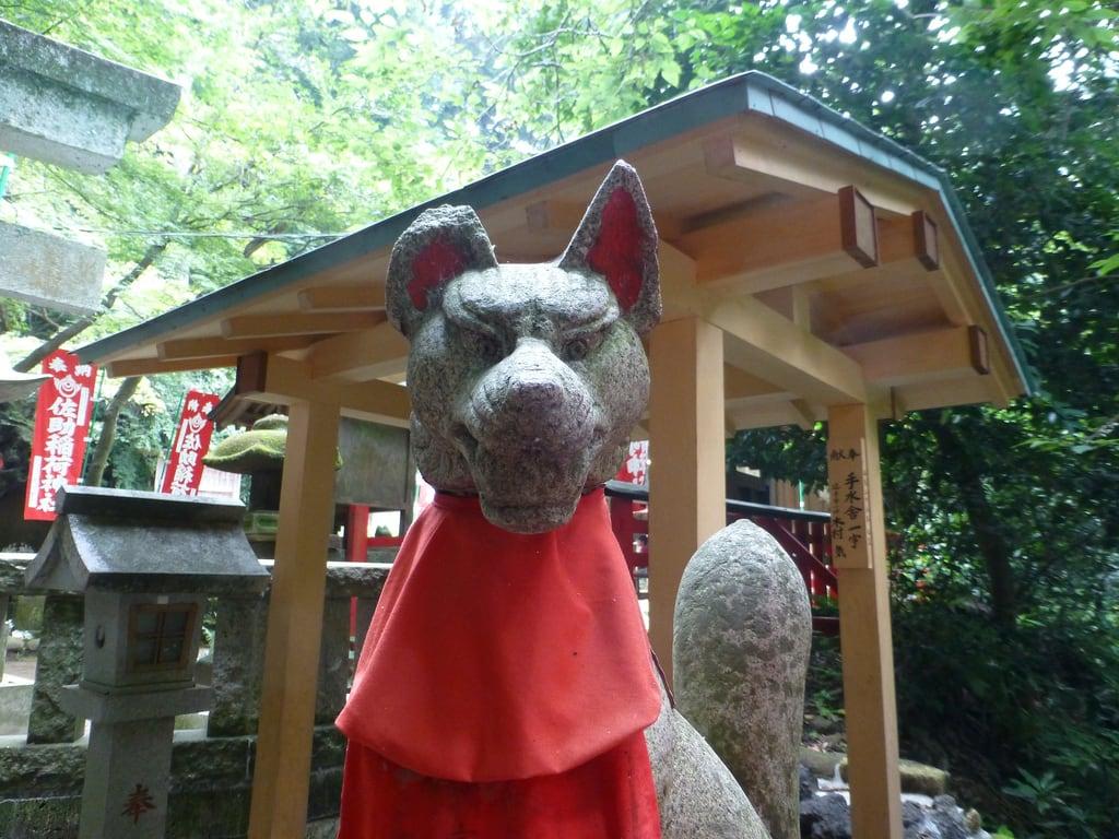 ภาพของ 稲荷神社. kamakura 鎌倉