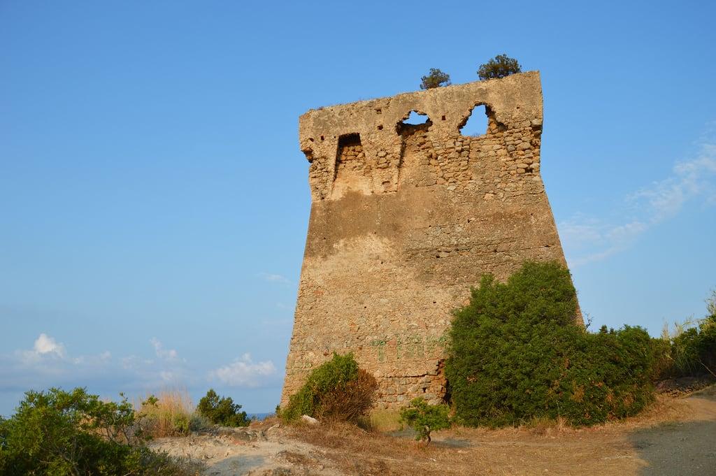 Torre dell'Isola の画像. sea italy rocks italia day mare torre campania hiking clear rocce cilento marinadicamerota escursionismo torresaracena