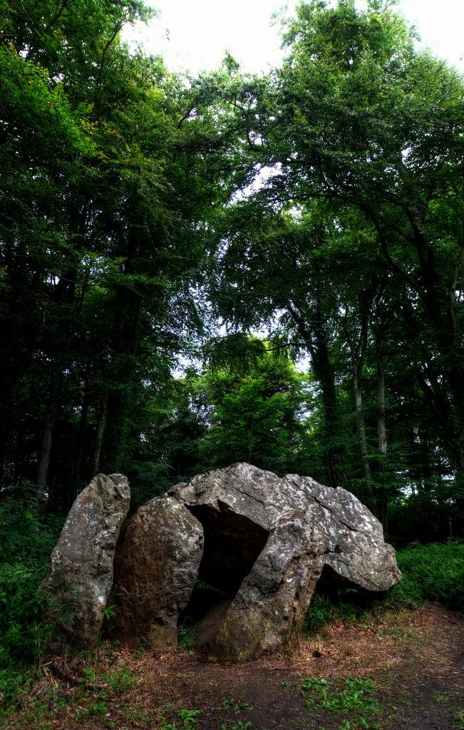 Attēls no Aideen's Dolmen. ireland howth dublin pentax tomb megalith k30 samsung1224 pentaxk30 samsung1224mmf4