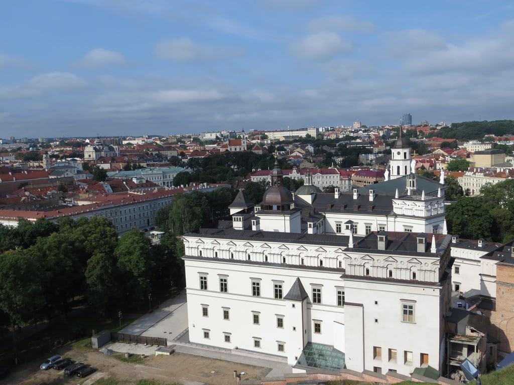 Grand Duke Gediminas görüntü. palace belltower lithuania vilnius presidentialpalace vilniuscathedral gediminashill uppercastle gedimiastower