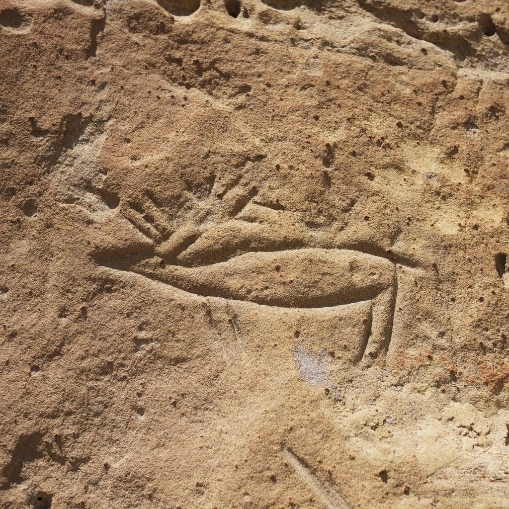 Bilde av White Mountain Petroglyphs. sandstone carving wyoming petroglyph whitemountain