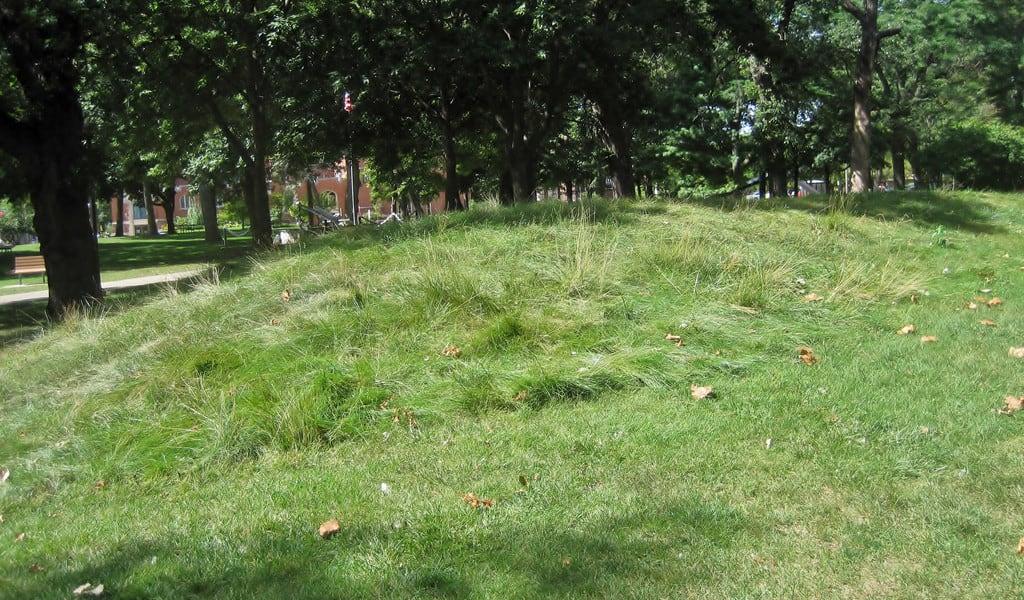 Turtle Mound görüntü. illinois rockford archaeologicalsite winnebagocounty latewoodland