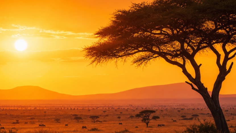 Afrika