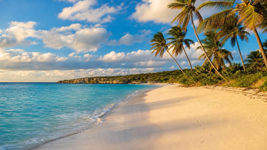 Anguilla: boterachtig koraalzandband bij Shoal Bay dat kokospalmen onder handels-cumulus vlecht, platina-kleurige branding bij Meads Bay door koperkleurige sloep-nevel van Road Bay naar pastelkleurige koloniale arcade-stapels in The Valley en koperkleurige glansbanden boven zoutpannen in de hero - achtergrond voor strandhok-briefjes in Oost-Caribische dollar (XCD), gevouwen USD-katamaran-charter-stempels bij ijskades van de jachthaven in Sandy Ground en weegbriefjes voor kreeft bij de veerboot in Blowing Point.