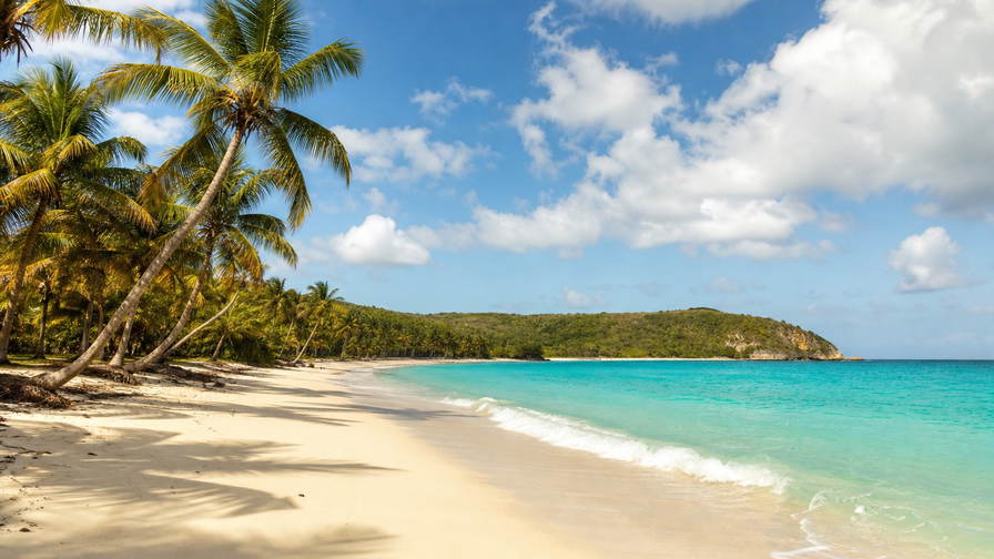 Antigua en Barbuda: boterachtig koraalzandband bij Half Moon Bay dat kokospalmen onder handels-cumulus vlecht, koperkleurige sloep-nevel uit English Harbour naar jadekleurige nevel aan de kalkstenen kam van Shirley Heights en georgiaanse kalkstenen arcade-stapels in Nelson Dockyard met koperkleurige rookpluimen van rietsiroopketels in de hero - achtergrond voor strandhok-briefjes in Oost-Caribische dollar (XCD), gevouwen USD-jachtmakelaar-stempels bij ijskades van de jachthaven in Falmouth Harbour en weegbriefjes voor kruiden op de markt in St John's.