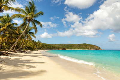 Antigua en Barbuda: boterachtig koraalzandband bij Half Moon Bay dat kokospalmen onder handels-cumulus vlecht, koperkleurige sloep-nevel uit English Harbour naar jadekleurige nevel aan de kalkstenen kam van Shirley Heights en georgiaanse kalkstenen arcade-stapels in Nelson Dockyard met koperkleurige rookpluimen van rietsiroopketels in de hero - achtergrond voor strandhok-briefjes in Oost-Caribische dollar (XCD), gevouwen USD-jachtmakelaar-stempels bij ijskades van de jachthaven in Falmouth Harbour en weegbriefjes voor kruiden op de markt in St John's.