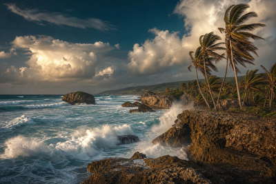 Barbados: petrolkleurige Atlantische branding bij Bathsheba die kalkstenen rotsblokken onder handels-cumulus vlecht, koperkleurige muskaat-rum-nevel van St Lawrence Gap naar boterachtig platina-koraalzand in Holetown en kalkstenen koloniale arcade-stapels in Bridgetown met jadekleurige nevelbanden boven suikerriet-windrows in de hero - achtergrond voor fish-fry-briefjes in Barbados-dollar (BBD), gevouwen USD-katamaran-charter-stempels bij ijskades in Carlisle Bay en weegbriefjes voor flying fish in Oistins.
