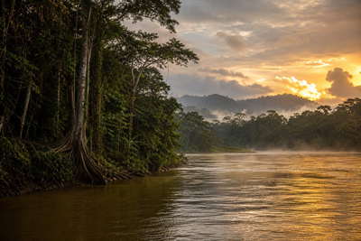 Centraal-Afrikaanse Republiek: mahonie-mist van Dzanga-Sangha vlecht Sangha-rivier golfbanden onder handelsstapelwolken, kopernevel bij Boali-watervallen naar Ubangi-veer in Bangui en perkamentstapels aan de kade, stofband aan megalietenhorizon bij Bouar met koffie-drogelint in Berberati plus pollen aan bosrand bij Kembe in de hero - achtergrond voor XAF marché-streepjes, USD safari-charter-stempelvouwen bij lodge-glijkais in Bayanga en cassave-weegbriefjesbanden in Bambari.