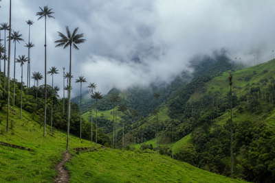 Colombia: jadekleurige waspalmspitsen in Cocora-dal die nevel van het wolkenwoud van Quindío onder handels-cumulus vlechten, petrolkleurige branding bij de haven van Cartagena door koperkleurige muurschildering-nevel in Getsemaní naar gouden branding onder kokospalmen in Tayrona en perkselstof van koffie uit Sierra Nevada de Santa Marta in de hero - achtergrond voor marktbriefjes in Colombiaanse peso (COP), gevouwen USD-charter-stempels bij ijskades van de jachthaven in Santa Marta en weegbriefjes voor perkament-microlots uit Huila.
