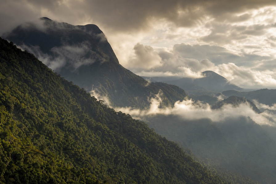 Democratische Republiek Congo: Virunga-mist vlecht Rutshuru golfbanden onder handelsstapelwolken, kopernevel boven bamboe van Kahuzi-Biega naar Malebo-pool in Kinshasa en perkamentstapels aan de kade, lint van Boyoma-watervallen bij Kisangani plus groeven langs Kivu-oever in Goma en koperstof uit de gordel bij Lubumbashi in de hero - achtergrond voor CDF marché-streepjes, USD trekking-charter-stempelvouwen bij veerboot-glijkais in Bukavu en riviertol-weegbriefjesbanden in Matadi.