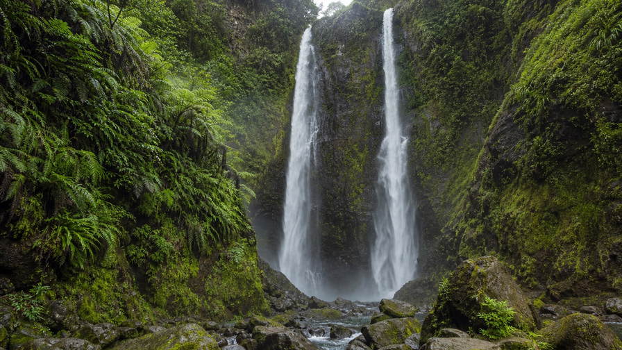 Dominica: tweeling jadekleurige waterval van Trafalgar Falls die het regenwoudcanopy van Morne Trois Pitons onder handels-cumulus vlecht, koperkleurige zwavelstoom van Boiling Lake door een limoenkleurige mangrovetunnel van Indian River naar vulkanische branding bij de landengte van Scotts Head en perkselstof van cacaoplantages in de hero - achtergrond voor natuurgids-briefjes in Oost-Caribische dollar (XCD), gevouwen USD-walvisexcursie-stempels bij ijsstroken op de pier in Roseau en weegbriefjes voor laurierblaadjes in Portsmouth.
