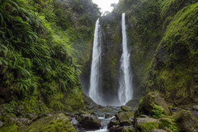 Dominica: tweeling jadekleurige waterval van Trafalgar Falls die het regenwoudcanopy van Morne Trois Pitons onder handels-cumulus vlecht, koperkleurige zwavelstoom van Boiling Lake door een limoenkleurige mangrovetunnel van Indian River naar vulkanische branding bij de landengte van Scotts Head en perkselstof van cacaoplantages in de hero - achtergrond voor natuurgids-briefjes in Oost-Caribische dollar (XCD), gevouwen USD-walvisexcursie-stempels bij ijsstroken op de pier in Roseau en weegbriefjes voor laurierblaadjes in Portsmouth.