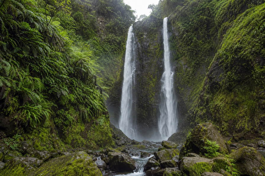 Dominica: tweeling jadekleurige waterval van Trafalgar Falls die het regenwoudcanopy van Morne Trois Pitons onder handels-cumulus vlecht, koperkleurige zwavelstoom van Boiling Lake door een limoenkleurige mangrovetunnel van Indian River naar vulkanische branding bij de landengte van Scotts Head en perkselstof van cacaoplantages in de hero - achtergrond voor natuurgids-briefjes in Oost-Caribische dollar (XCD), gevouwen USD-walvisexcursie-stempels bij ijsstroken op de pier in Roseau en weegbriefjes voor laurierblaadjes in Portsmouth.