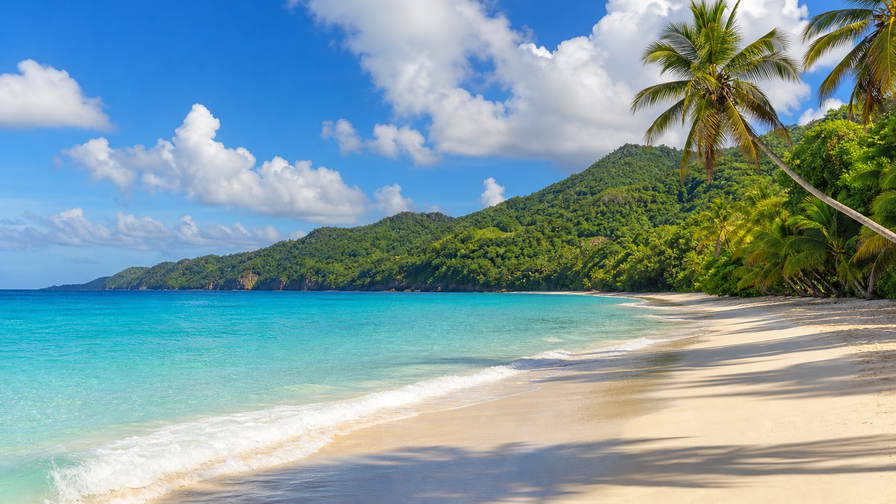 Grenada: boterachtig koraalzandband bij Grand Anse dat kokospalmen onder handels-cumulus vlecht, koperkleurige nevel van de Carenage bij St George's met silhouetten van specerij-sloops naar jadekleurige nevel aan de kam van het regenwoud en sproeinevel van Annandale Falls met perkselstof van cacaodroogbanden in de hero - achtergrond voor marktbriefjes in Oost-Caribische dollar (XCD), gevouwen USD-katamaran-charter-stempels bij ijskades van de jachthaven in Prickly Bay en weegbriefjes voor muskaatnoot uit Gouyave.