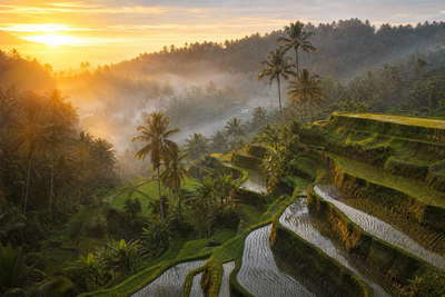 Indonesië: rijstterrassen-curves van Tegalalang op Bali die smaragdgroene irrigatiespiegelingen vlechten onder kokospalm-dageraad, rimpelingen in het kanaal van Kota Tua in Jakarta richting bronzen gamelan-glanst en batikstoompersen in Yogyakarta en roze getij-platen aan de horizon bij Komodo in de hero - achtergrond voor streepjes bij satéverkopers in Indonesische roepia (IDR), suikerweegstickers voor kopi tubruk en stapels ligstoelbriefjes op rupiah-veerboten.