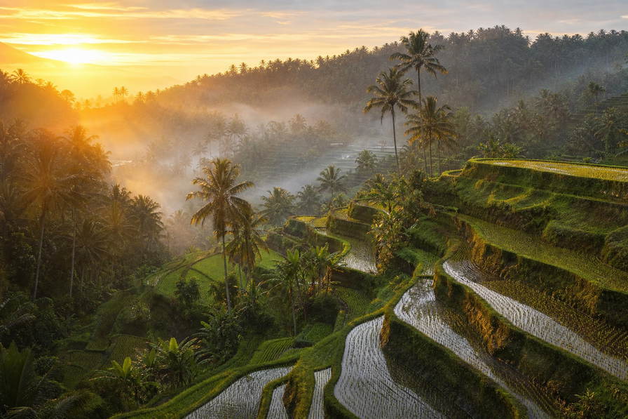 Indonesië: rijstterrassen-curves van Tegalalang op Bali die smaragdgroene irrigatiespiegelingen vlechten onder kokospalm-dageraad, rimpelingen in het kanaal van Kota Tua in Jakarta richting bronzen gamelan-glanst en batikstoompersen in Yogyakarta en roze getij-platen aan de horizon bij Komodo in de hero - achtergrond voor streepjes bij satéverkopers in Indonesische roepia (IDR), suikerweegstickers voor kopi tubruk en stapels ligstoelbriefjes op rupiah-veerboten.