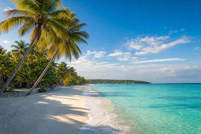 Jamaica: jadekleurige rug van de Blue Mountains die petrolglans over de haven van Kingston vlecht onder passaat-cumulus, wit travertijnnevel van Dunn's River Falls naar boterachtig koraalzandband aan Seven Mile Beach in Negril naast jerkrookpluimen uit Portland en perkselstof van Blue Mountain-microlots in de hero - achtergrond voor pattie-kraambriefjes in Jamaicaanse dollar (JMD), gevouwen stempels van route-taxi coasters en weegbriefjes voor kreeft op ijs in Montego Bay.