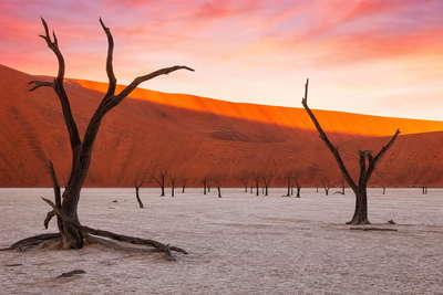 Namibia: duinen van Sossusvlei in eerste licht boven Deadvleis witte kleipan, mist langs het skeletkust-wrak en ambacht aan Independence Avenue in Windhoek onder acacia's in de hero - achtergrond voor biltongweegschalen, sundowners in lodges en kassabonnen in NAD en ZAR op safari-routes.