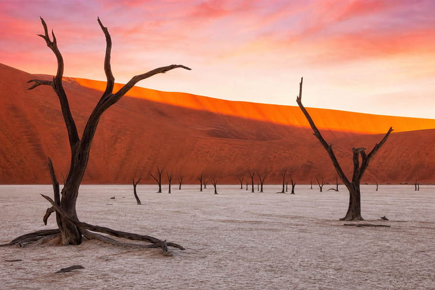 Namibia: duinen van Sossusvlei in eerste licht boven Deadvleis witte kleipan, mist langs het skeletkust-wrak en ambacht aan Independence Avenue in Windhoek onder acacia's in de hero - achtergrond voor biltongweegschalen, sundowners in lodges en kassabonnen in NAD en ZAR op safari-routes.
