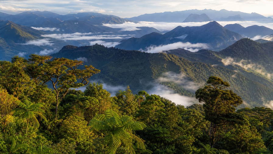 Papoea-Nieuw-Guinea: kobaltkleurige deining van de Bismarckzee die rifdoorgangen vlecht naar melige nevel boven kalkrotsen in Milne Bay, hooglandruggen bij Goroka onder mistmantel naar bilum-schouderstreepmarkten naast Asaro-moddermaskersilhouetten en zwavelstoomsluiers langs de rand van de Rabaul-caldera in de hero - achtergrond voor trekvergunningbriefjes in kina en toea (PGK), weeglabels voor kleineboeren-koffiepergament en gevouwen brandstofbonnen voor eilanddinghies.