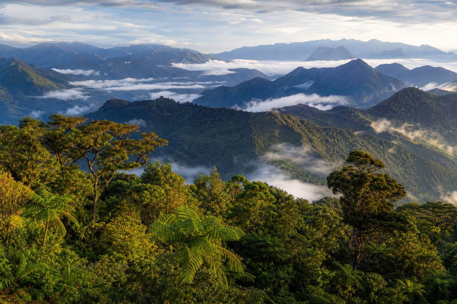 Papoea-Nieuw-Guinea: kobaltkleurige deining van de Bismarckzee die rifdoorgangen vlecht naar melige nevel boven kalkrotsen in Milne Bay, hooglandruggen bij Goroka onder mistmantel naar bilum-schouderstreepmarkten naast Asaro-moddermaskersilhouetten en zwavelstoomsluiers langs de rand van de Rabaul-caldera in de hero - achtergrond voor trekvergunningbriefjes in kina en toea (PGK), weeglabels voor kleineboeren-koffiepergament en gevouwen brandstofbonnen voor eilanddinghies.