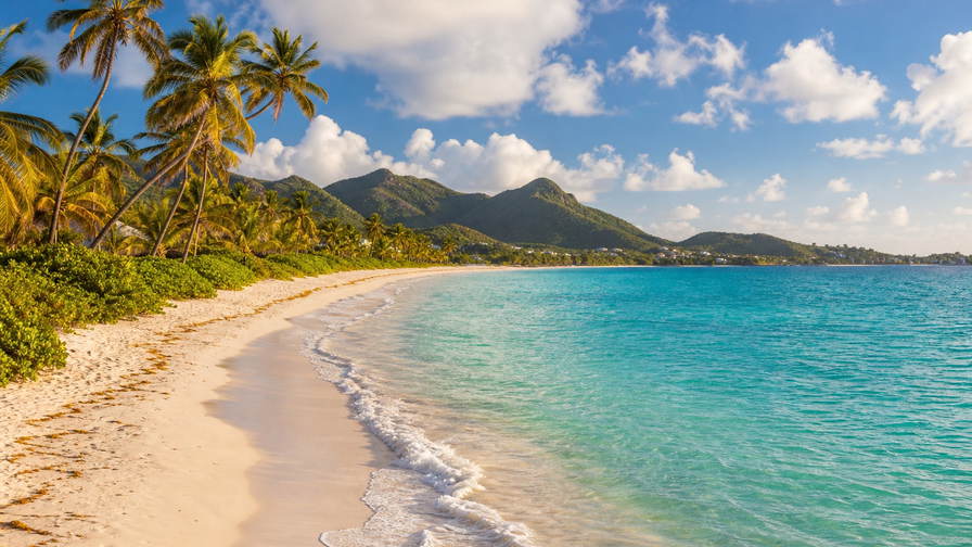 Sint Maarten: boterachtig koraalzandband bij Orient Bay dat kokospalmen onder handels-cumulus vlecht, jadekleurige nevel in het kronendak van Loterie Farm naar pastelkleurige gevels in Marigot en petrolkleurige branding bij de pier van Philipsburg met koperkleurige sloep-nevel boven Simpson Bay Lagoon in de hero - achtergrond voor strandhok-briefjes in euro (EUR), gevouwen USD-jachtcharter-stempels bij ijskades van Bobby's Marina en weegbriefjes voor kreeft in Grand Case.