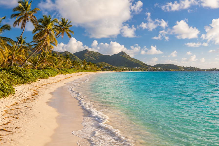 Sint Maarten: boterachtig koraalzandband bij Orient Bay dat kokospalmen onder handels-cumulus vlecht, jadekleurige nevel in het kronendak van Loterie Farm naar pastelkleurige gevels in Marigot en petrolkleurige branding bij de pier van Philipsburg met koperkleurige sloep-nevel boven Simpson Bay Lagoon in de hero - achtergrond voor strandhok-briefjes in euro (EUR), gevouwen USD-jachtcharter-stempels bij ijskades van Bobby's Marina en weegbriefjes voor kreeft in Grand Case.