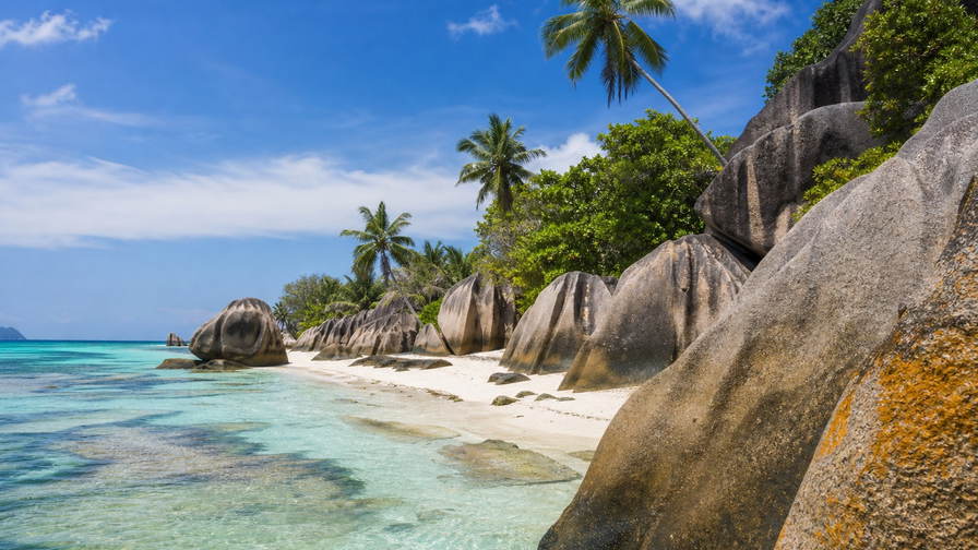 Seychellen: granieten rotsen op La Digue rond de ondiepten van Anse Source d'Argent, silhouetten van coco de mer in Vallée de Mai onder het junglebladerdak en kruidenpaden op de Sir Selwyn Clarke Market in Victoria in de hero - achtergrond voor octopuscurry van de grill, borgsommen voor snorkelsets in Seychelse roepies (SCR) en euro en catamaranbiljetten naar Praslin.