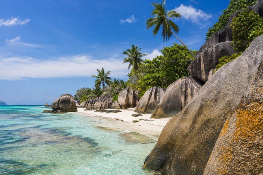 Seychellen: granieten rotsen op La Digue rond de ondiepten van Anse Source d'Argent, silhouetten van coco de mer in Vallée de Mai onder het junglebladerdak en kruidenpaden op de Sir Selwyn Clarke Market in Victoria in de hero - achtergrond voor octopuscurry van de grill, borgsommen voor snorkelsets in Seychelse roepies (SCR) en euro en catamaranbiljetten naar Praslin.