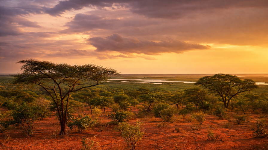 Zuid-Soedan: papyrus-vlecht van de Witte Nijl over Sudd-moeras golfbanden onder handelsstapelwolken, kopernevel boven acacia-savanne bij Bor naar Nimule-plateau-randen en perkamentstapels aan de rivier, veerboot-kielzoglint in Juba plus stof aan de horizon van Boma NP en granietgroeven bij Kapoeta in de hero - achtergrond voor SSP souk-streepjes, USD missie-charter-stempelvouwen bij rivieraanleg-glijkaais en gierst-weegbriefjesbanden in Malakal.