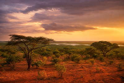 Zuid-Soedan: papyrus-vlecht van de Witte Nijl over Sudd-moeras golfbanden onder handelsstapelwolken, kopernevel boven acacia-savanne bij Bor naar Nimule-plateau-randen en perkamentstapels aan de rivier, veerboot-kielzoglint in Juba plus stof aan de horizon van Boma NP en granietgroeven bij Kapoeta in de hero - achtergrond voor SSP souk-streepjes, USD missie-charter-stempelvouwen bij rivieraanleg-glijkaais en gierst-weegbriefjesbanden in Malakal.