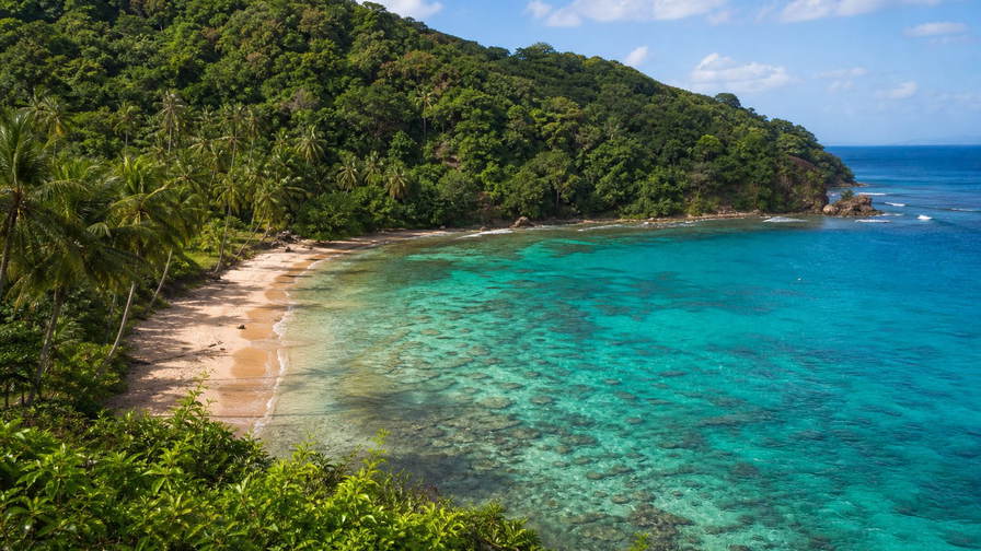 Tobago: smaragdgroene wand van het Main Ridge-regenwoud vlecht kokospalm-zoom-halvemaan op koraalzand en rif-turkoois ondiepten onder passaat-cumuli in de hero-foto - visuele intro voor dorpswinkelbriefjes in Trinidad en Tobago-dollar (TTD), strandhut-curry-prijsvergelijkingen en guesthouse-huur-ladders rond Crown Point.