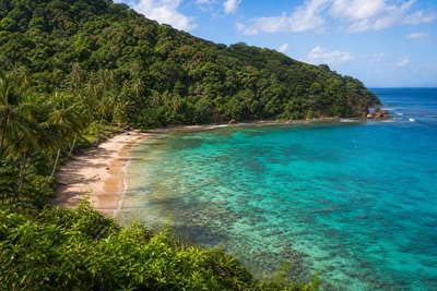 Tobago: smaragdgroene wand van het Main Ridge-regenwoud vlecht kokospalm-zoom-halvemaan op koraalzand en rif-turkoois ondiepten onder passaat-cumuli in de hero-foto - visuele intro voor dorpswinkelbriefjes in Trinidad en Tobago-dollar (TTD), strandhut-curry-prijsvergelijkingen en guesthouse-huur-ladders rond Crown Point.