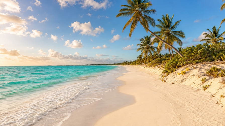 Turks- en Caicoseilanden: boterachtig koraalzandband bij Grace Bay dat kokospalmen onder handels-cumulus vlecht, jadekleurige lagune-nevel van Chalk Sound door kalksteen-inham bij Sapodilla Bay naar koperkleurige glans boven zoutpannen bij Cockburn Town en perkselstof van conch-kades in de hero - achtergrond voor strandhok-briefjes in Amerikaanse dollar (USD), gevouwen CAD-dagcharter-stempels bij ijskades van jachthaven Blue Haven en weegbriefjes voor queen conch bij Blue Hills.
