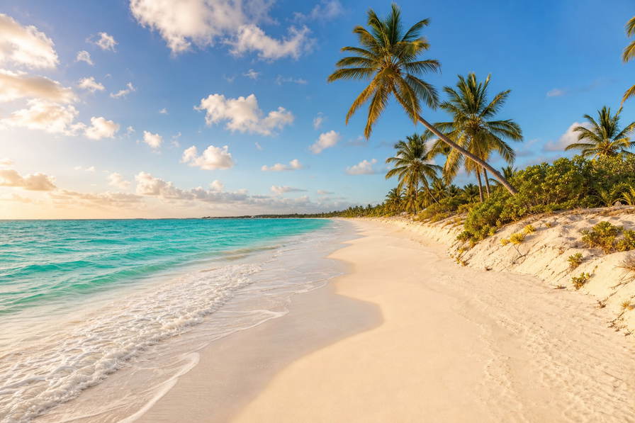 Turks- en Caicoseilanden: boterachtig koraalzandband bij Grace Bay dat kokospalmen onder handels-cumulus vlecht, jadekleurige lagune-nevel van Chalk Sound door kalksteen-inham bij Sapodilla Bay naar koperkleurige glans boven zoutpannen bij Cockburn Town en perkselstof van conch-kades in de hero - achtergrond voor strandhok-briefjes in Amerikaanse dollar (USD), gevouwen CAD-dagcharter-stempels bij ijskades van jachthaven Blue Haven en weegbriefjes voor queen conch bij Blue Hills.