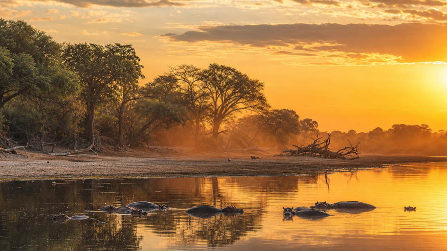 Zambia: koperkleurige sundowner-weerspiegeling in de Luangwa in South Luangwa met silhouetten van Thornicroft-giraffen, regenbogen bij Knife-Edge in Livingstone boven Zambezi-spray en rietvisserslijnen op het Bangweulumeer in de hero - achtergrond voor nshima-hopen, microlight-vouchers boven de watervallen en lodgebar-bonnen in kwacha en USD.