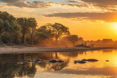 Zambia: koperkleurige sundowner-weerspiegeling in de Luangwa in South Luangwa met silhouetten van Thornicroft-giraffen, regenbogen bij Knife-Edge in Livingstone boven Zambezi-spray en rietvisserslijnen op het Bangweulumeer in de hero - achtergrond voor nshima-hopen, microlight-vouchers boven de watervallen en lodgebar-bonnen in kwacha en USD.