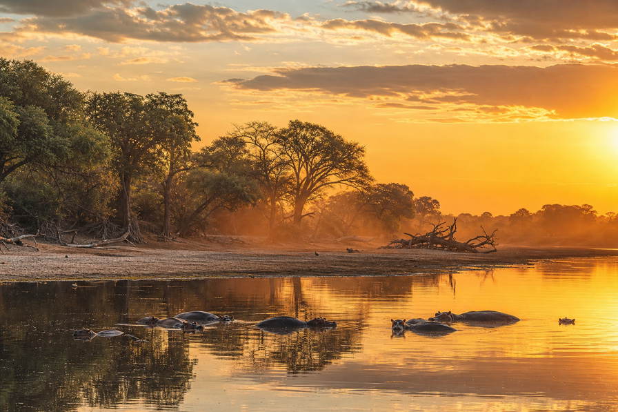 Zambia: koperkleurige sundowner-weerspiegeling in de Luangwa in South Luangwa met silhouetten van Thornicroft-giraffen, regenbogen bij Knife-Edge in Livingstone boven Zambezi-spray en rietvisserslijnen op het Bangweulumeer in de hero - achtergrond voor nshima-hopen, microlight-vouchers boven de watervallen en lodgebar-bonnen in kwacha en USD.